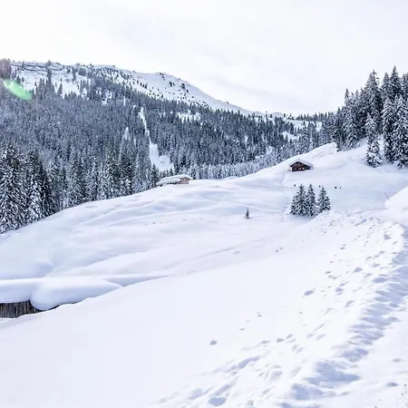 Schoenfeld Apartman *