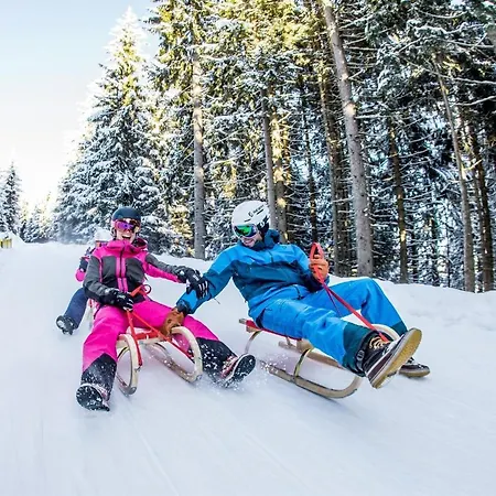 Schoenfeld * Schlitters