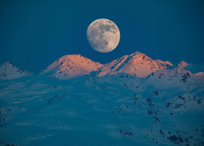 Schoenfeld شقة سخليترس