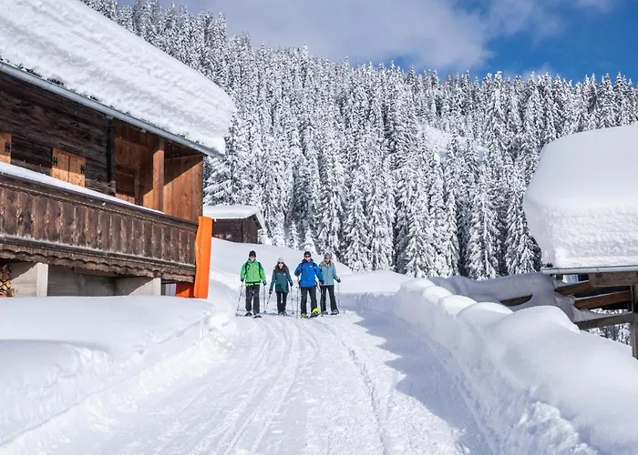 Schoenfeld * سخليترس