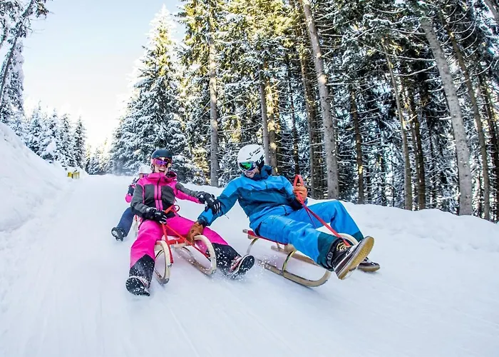 Schoenfeld * Шлиттерс